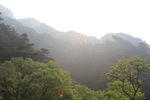 泰山