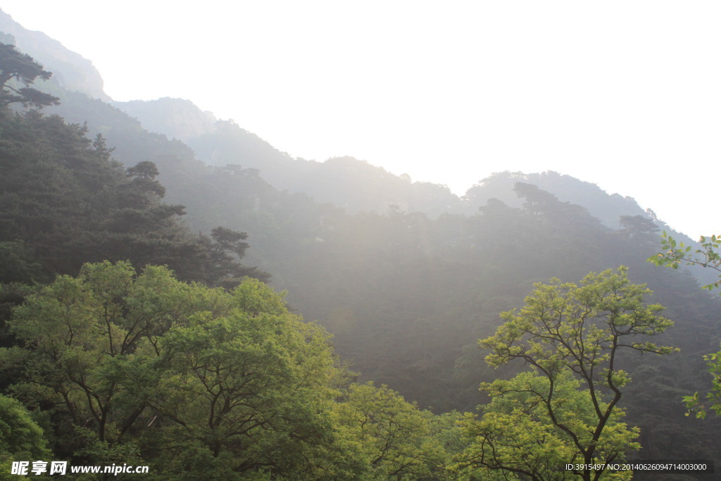 泰山
