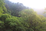 泰山