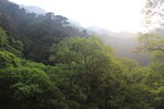 泰山
