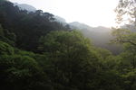 泰山