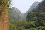 泰山