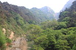 泰山