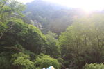泰山