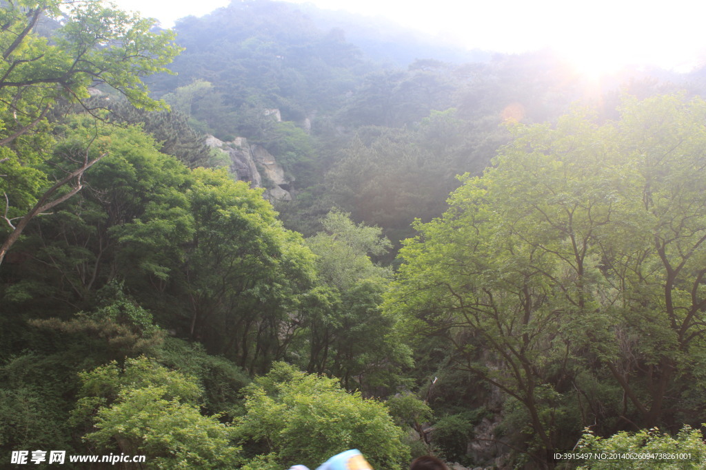 泰山