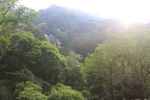 泰山