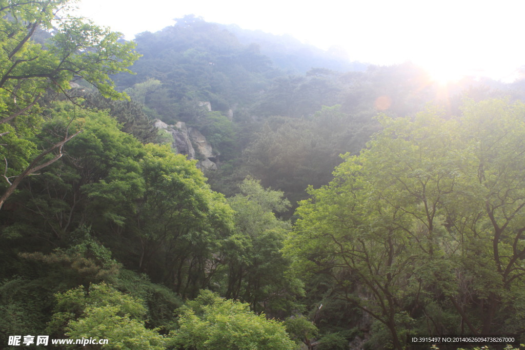 泰山