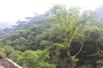 泰山