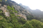 泰山