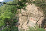 泰山