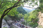 泰山