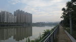 城市远眺