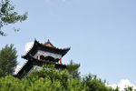 植物园