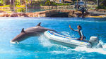 水族馆