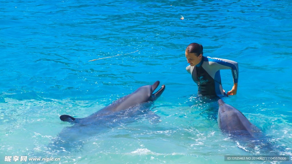 水族馆