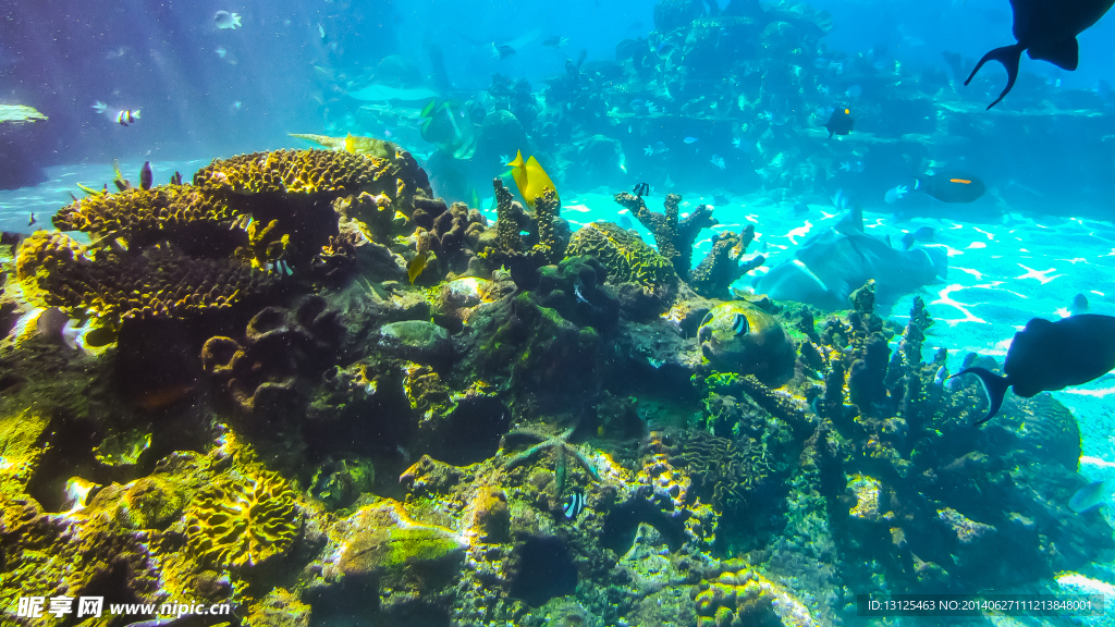 水族馆