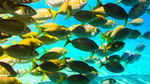 水族馆