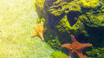 水族馆