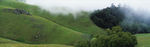 山坡