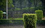 细雨