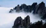 油画山水图