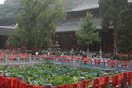 玉泉寺