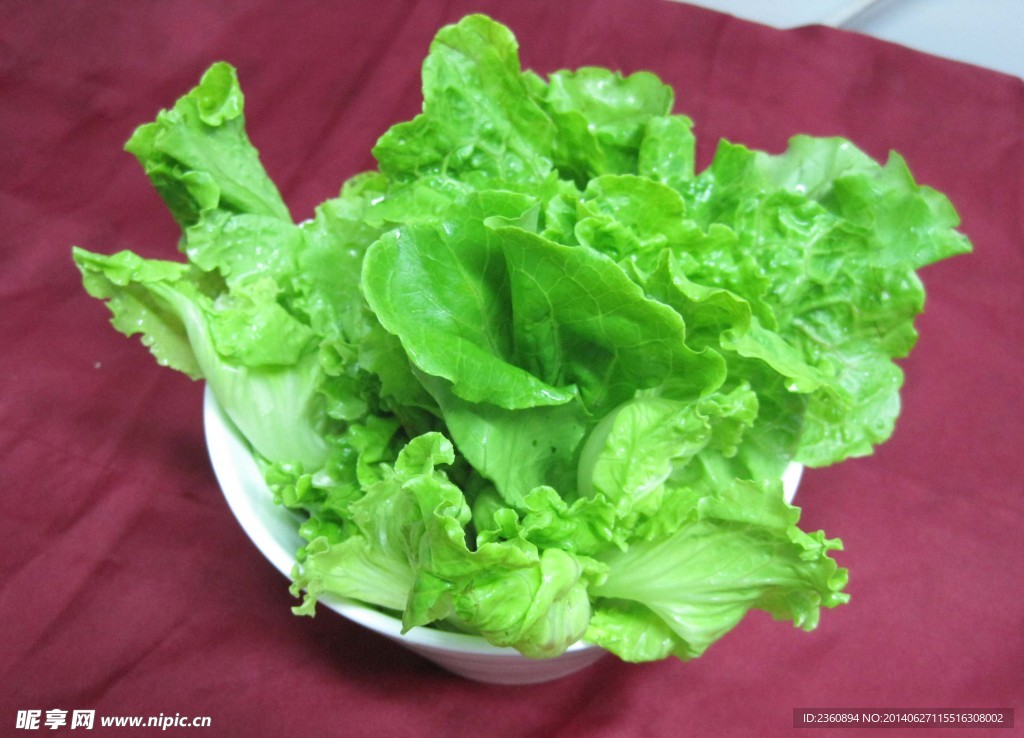 生菜