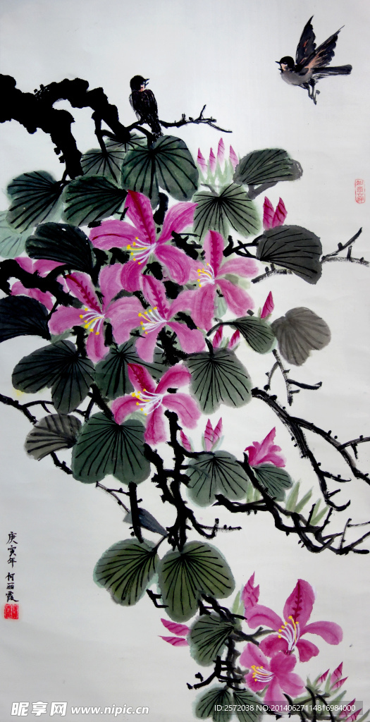 花香鸟欢