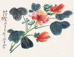 静物鲜花