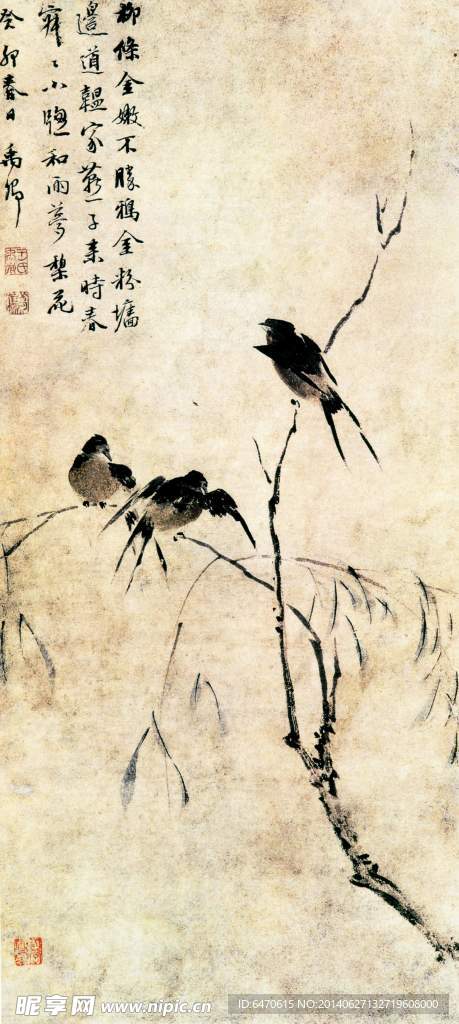 国画鸟