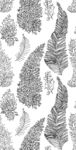 植物底纹