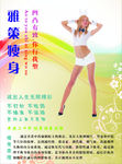 减肥彩页