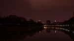 府南河夜景