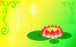 莲花