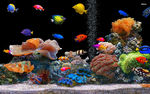 水族馆