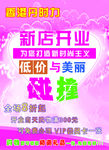 丹时力