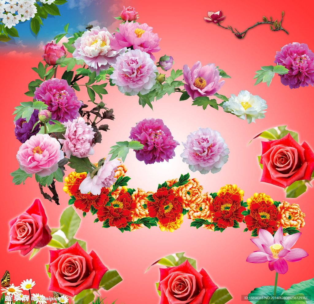鲜花