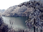大明湖雪景