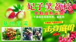 荔枝