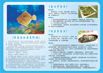 多宝鱼DM