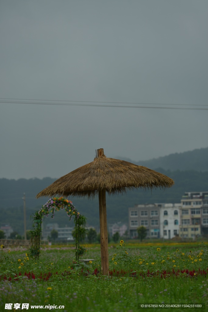 花田