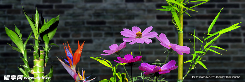 花的时节