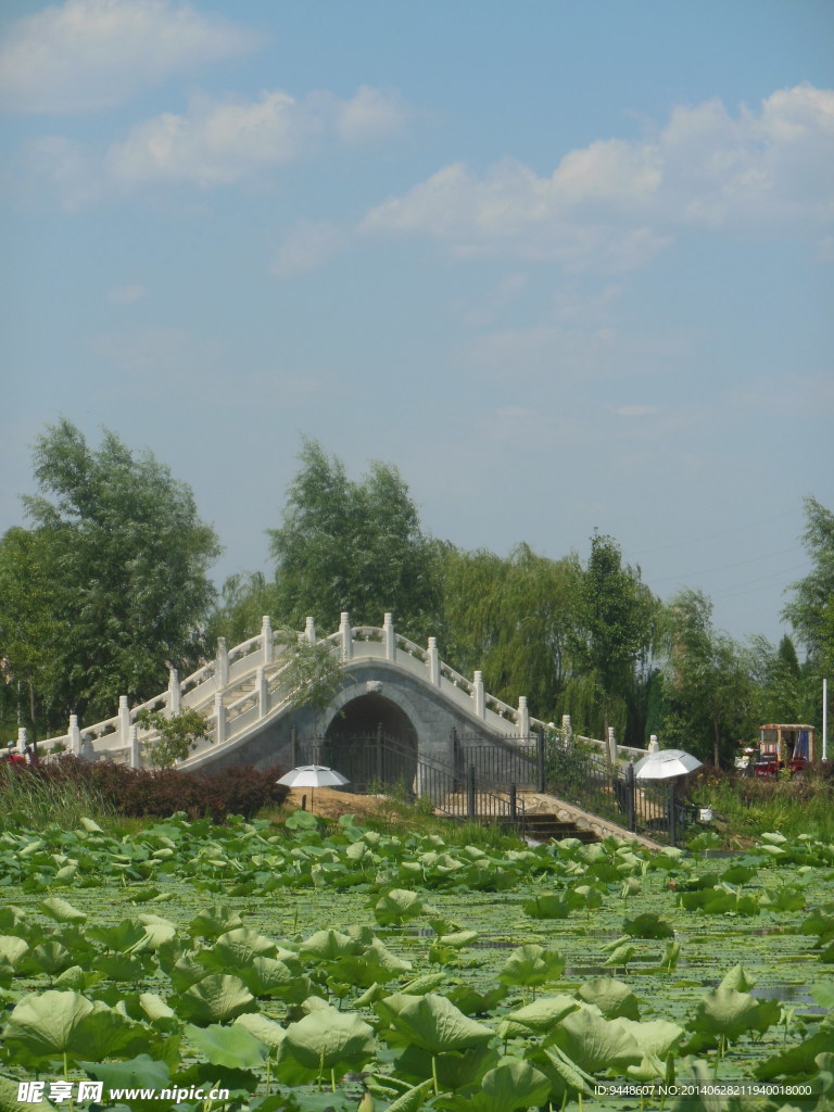 小桥风景图片