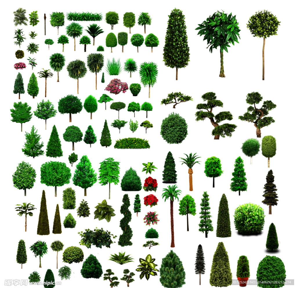 园林植物