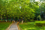 北京师范大学