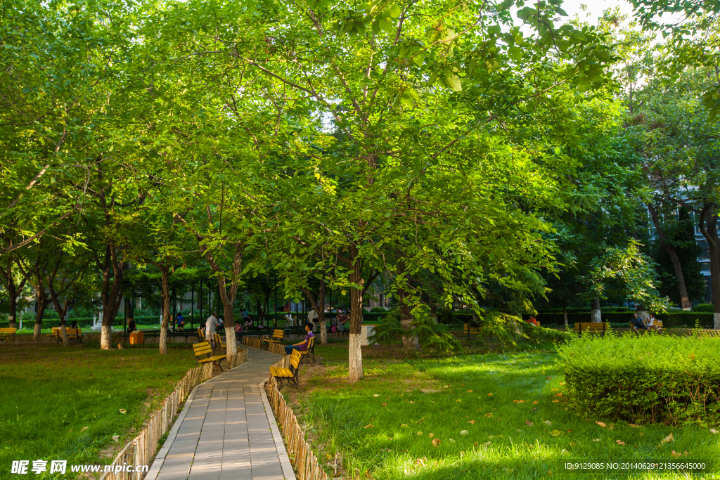 北京师范大学