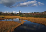 四季景观