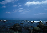 四季景观