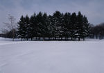 四季景观