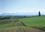 四季景观